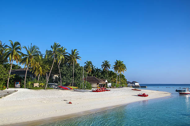 istock The white sandy beach, Maldives 536035591
