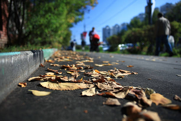 istock city ​​autumn leaves background 536035739