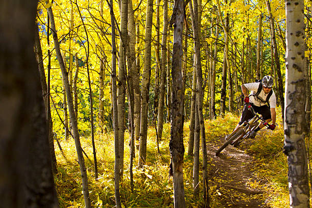 bicicleta de montaña de diversión - usa action adventure aspen tree fotografías e imágenes de stock