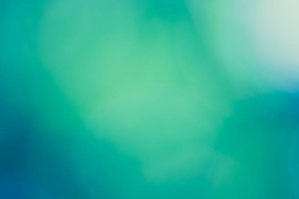 istock Spring summer nature background - green and blue bokeh blur 536048805