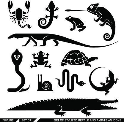 Set of various animal icons: scorpions, snakes, frogs, lizards, snails, crocodiles, turtles, cobra, chameleon, gecko. Vector illustration.