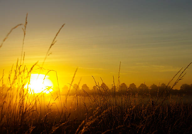 istock Daybreak over the country 536051025
