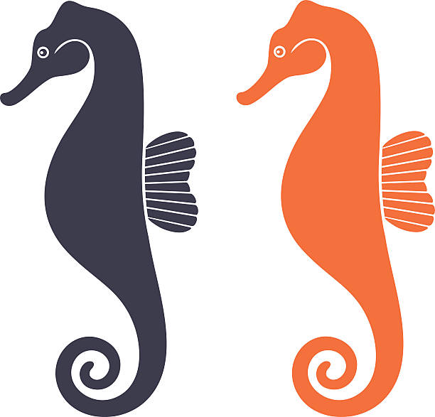 海の馬 - marine life orange sea horse sea点のイラスト素材／クリップアート素材／マンガ素材／アイコン素材