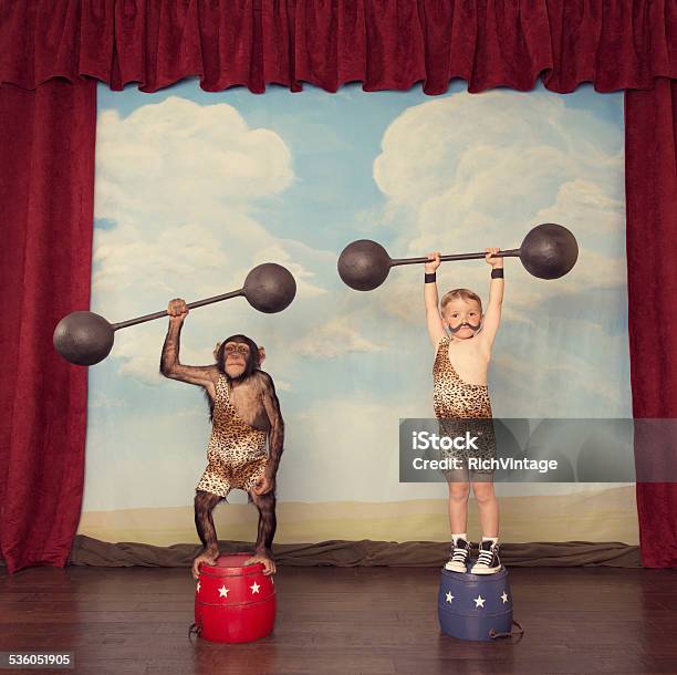 Junge Und Chimp Freund Im Zirkus Stockfoto und mehr Bilder von Zirkusveranstaltung - Zirkusveranstaltung, Kraftathlet, Gewichtheben