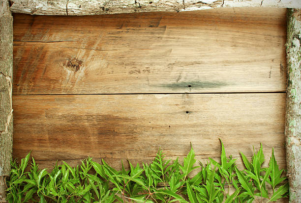 istock Frame is made of wood and leaves 536053605