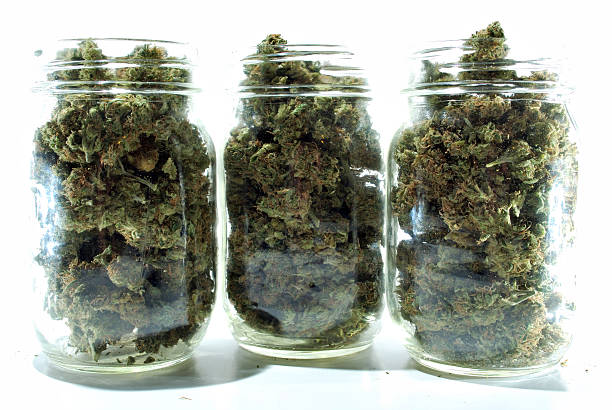 Jars of Medical Marijuana stock photo