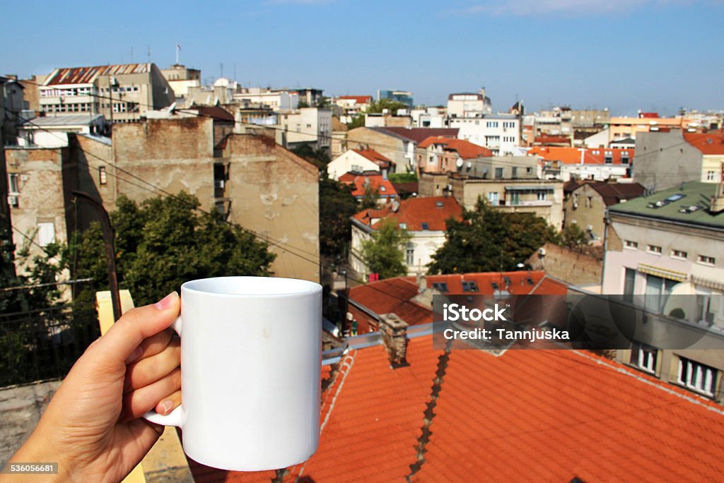 Beautiful view of Belgrade roofs, Serbia Beautiful view of Belgrade roofs and buildings, Serbia 2015 Stock Photo
