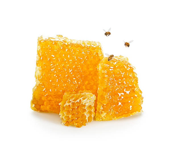 Pieces of Honeycomb with Bees Flying Around Pieces of honeycomb on a white background with real honeybees hovering around. beeswax photos stock pictures, royalty-free photos & images
