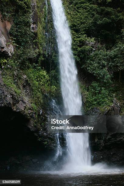 Cascading Waterfall In A Lush Valley Stock Photo - Download Image Now - Water Conservation, 2015, Ecosystem