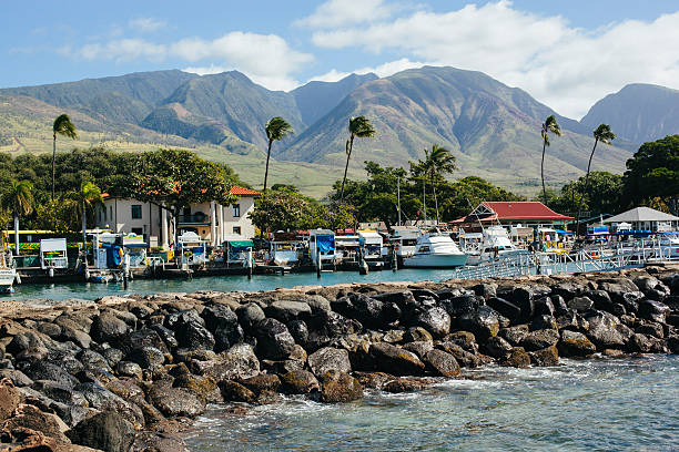 porto di lahaina maui, hawaii - lahaina foto e immagini stock