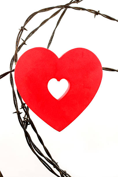 istock Heart and Barbed Wire 536059153