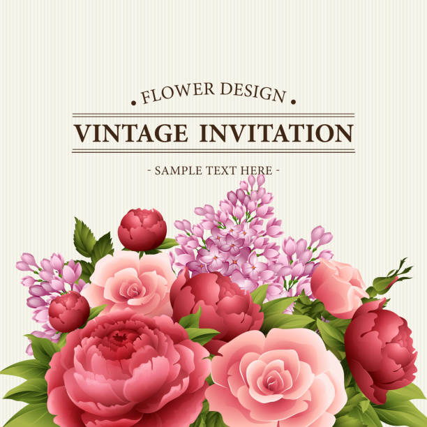 illustrazioni stock, clip art, cartoni animati e icone di tendenza di biglietto d'auguri vintage con fiori in boccio. illustrazione vettoriale - bouquet rose peony rosé