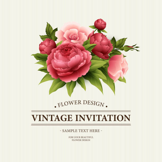 ilustrações de stock, clip art, desenhos animados e ícones de cartão de saudação vintage com flores a desabrochar " . ilustração vetorial - bouquet rose peony rosé