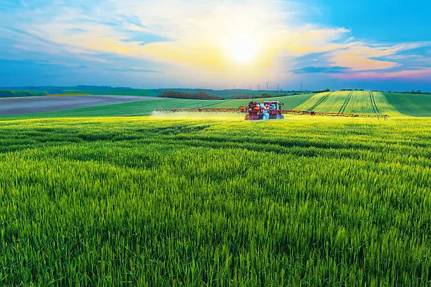 Tractor spraying a field at sunset