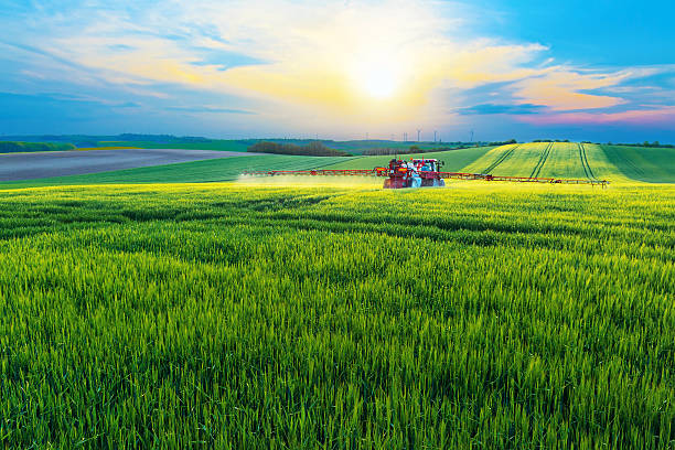 w polu - crop sprayer insecticide spraying agriculture zdjęcia i obrazy z banku zdjęć