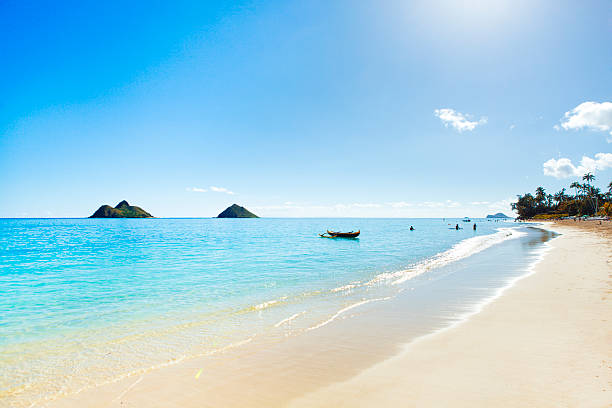 istock Beach in Oahu Hawaii USA 536077683