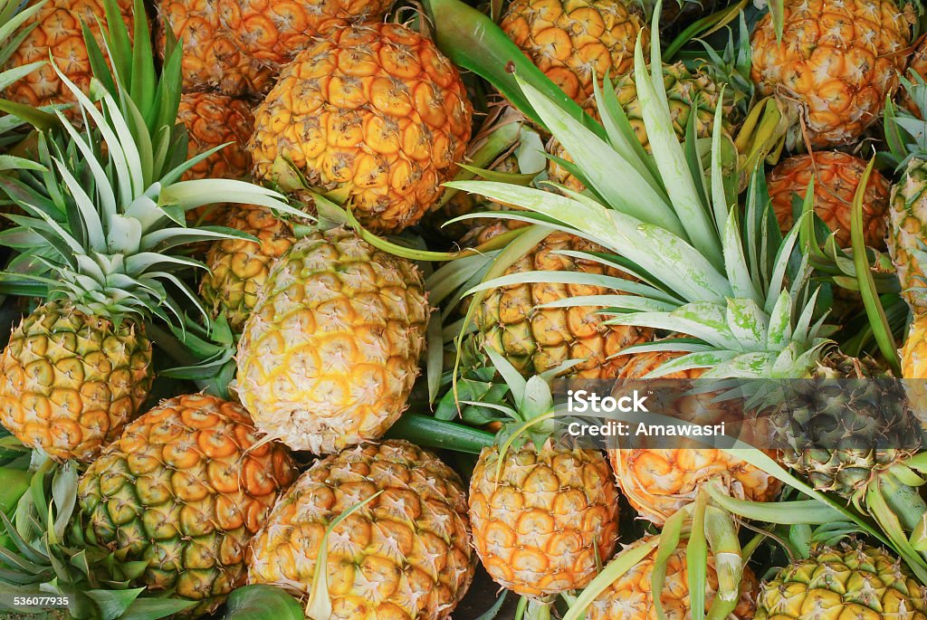 pineapple tropical fruit SONY DSC 2015 Stock Photo