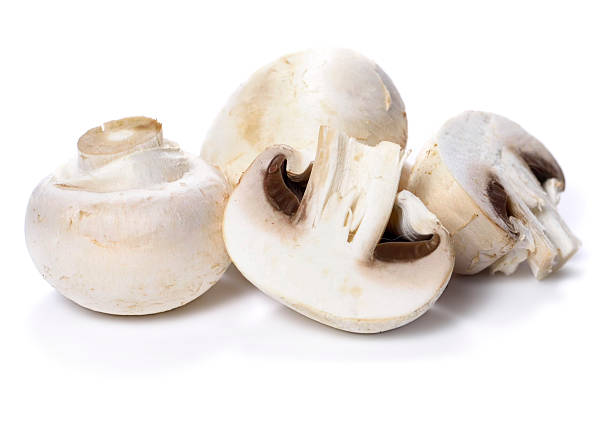 Champignons or white mushrooms, isolated on white background.
