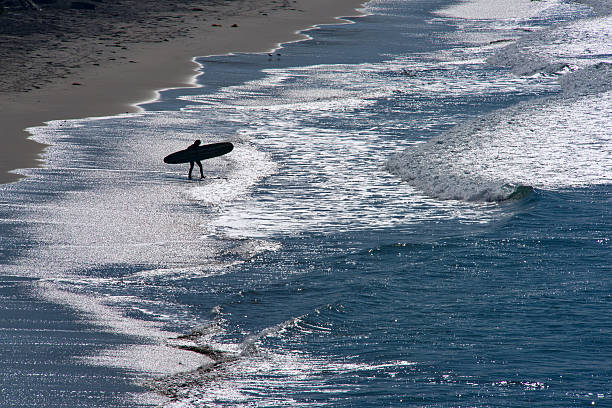 istock Surfer Entering the Ocean 536078723