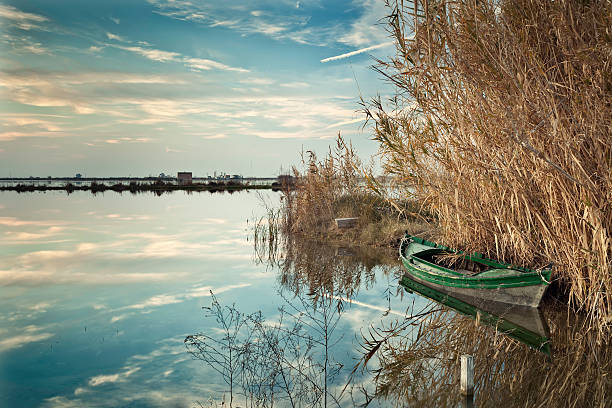 La Albufera nature reserve Valencia province Spain