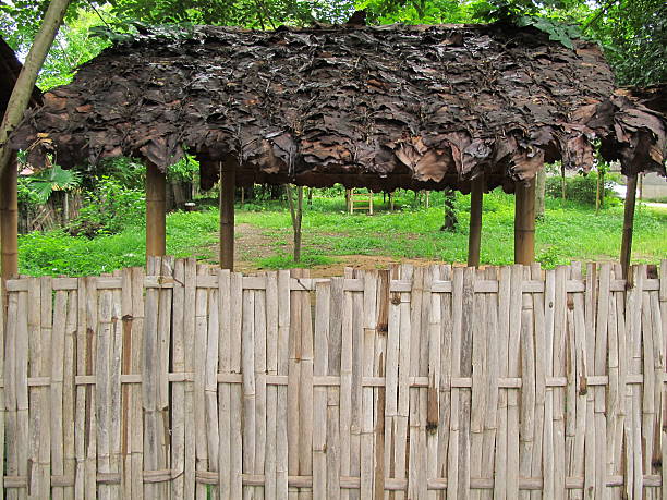 бамбук забор и листья на крыше - picket line фотографии стоковые фото и изображения