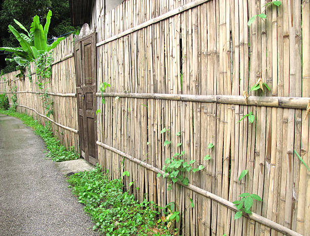 velha porta e bambu muro - picket line fotos - fotografias e filmes do acervo