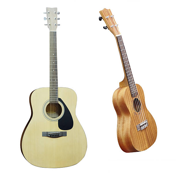 istock The image of a hawaiian guitar 536088063