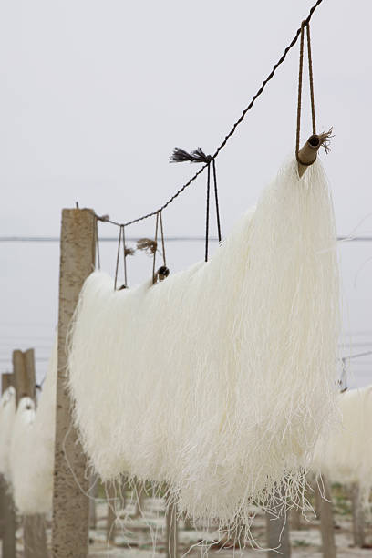 istock Rural vermicelli drying scene in Aries Valley, china 536089151