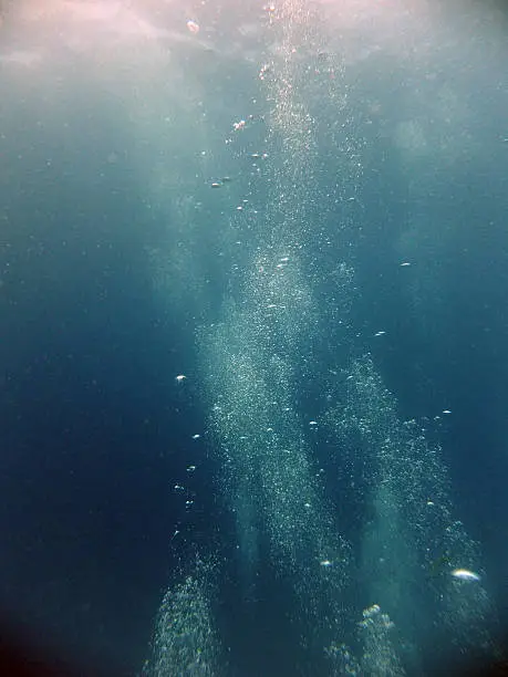Photo of Underwater Adventure
