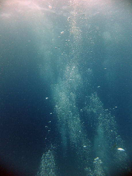 aventura submarina - underwater sea water surface surface level - fotografias e filmes do acervo