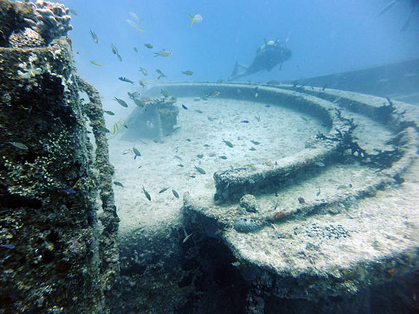 mergulho de exploração de naufrágio - coral break imagens e fotografias de stock