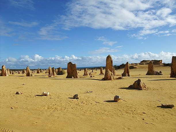 istock Pinnacle in Nambung national park 536094131