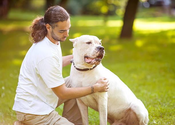 człowiek i pies argentino spaceru w parku. - action dog outdoors animal trainer zdjęcia i obrazy z banku zdjęć