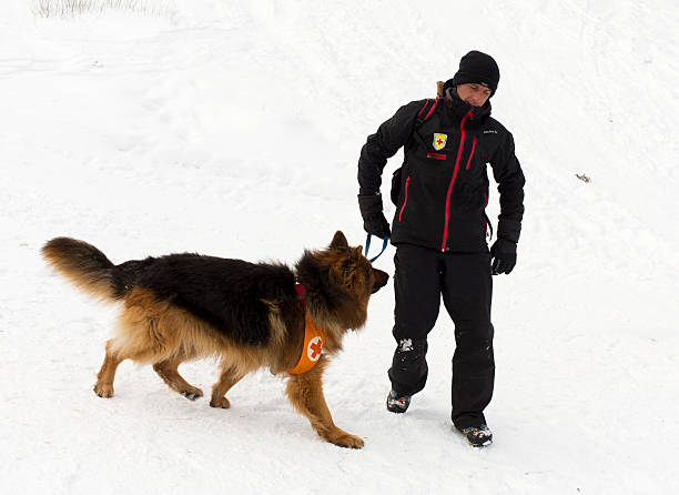 montanha serviço de resgate - dog first aid first aid kit winter - fotografias e filmes do acervo