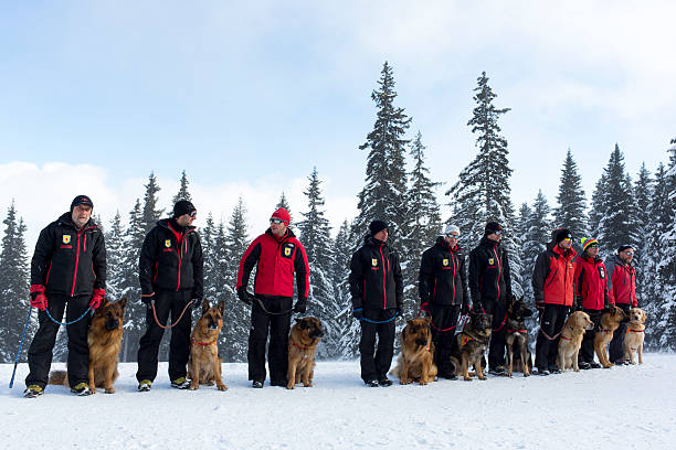 montanha serviço de resgate - dog first aid first aid kit winter - fotografias e filmes do acervo