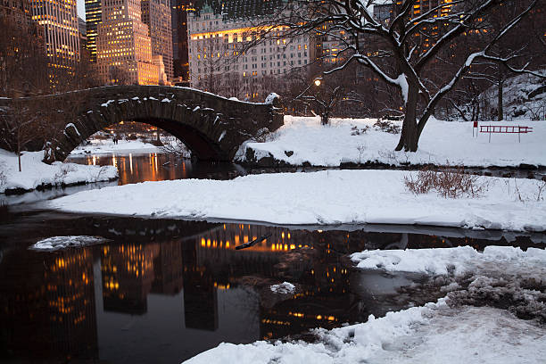 istock Central park in New York City 536111619