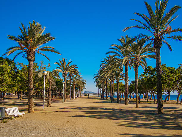 paseo en la playa en mataro - maresme fotografías e imágenes de stock