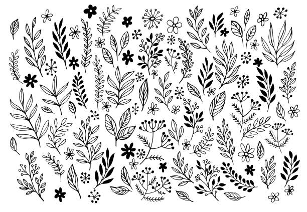 세트 라인 한다면 손 드로잉 디자인식 플로럴 요소 - branch flower floral pattern leaf stock illustrations