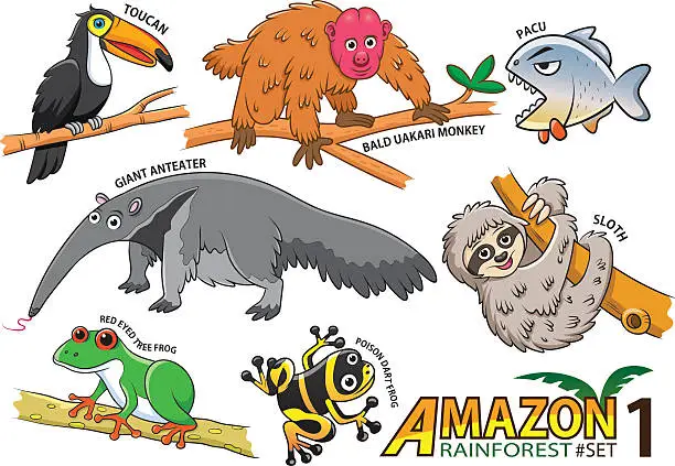 Vector illustration of Cute cartoon Animals and birds in the Amazon areas