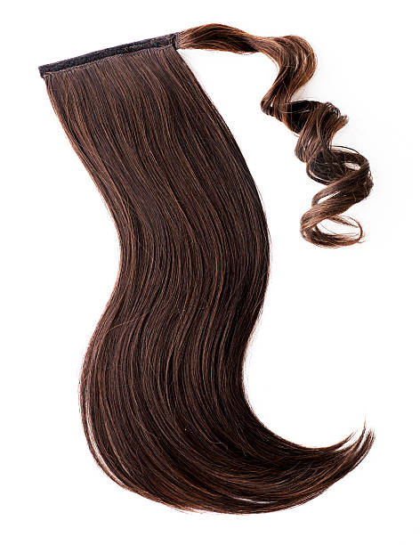 istock Dark brown hair piece 536112227