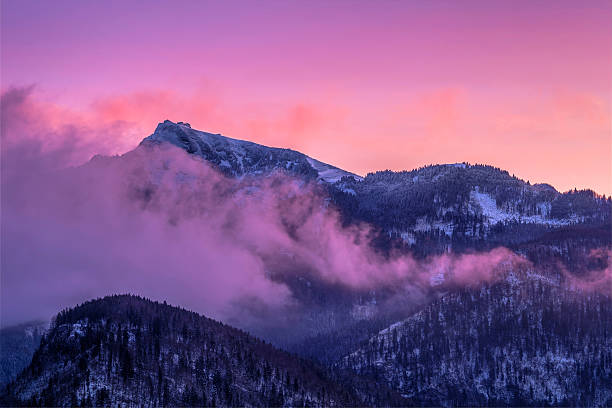 montanhas em rosa nevoeiro misty - fog tree purple winter imagens e fotografias de stock