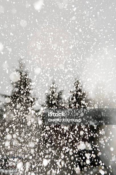 Trees And Snow Stock Photo - Download Image Now - 2015, Abstract, Awe