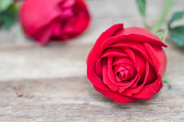 istock Red roses on wood background 536114903