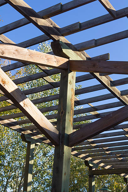 istock structure of wood for climbing plants 536115549
