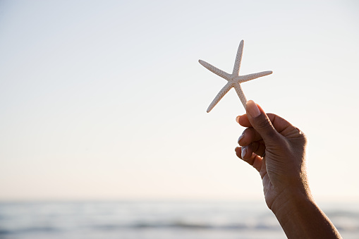 A woman holding a starfish