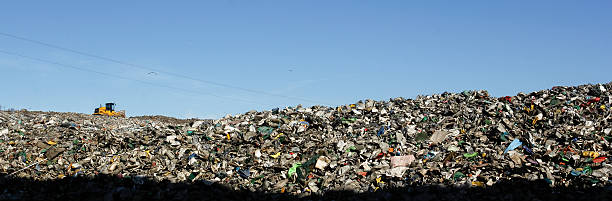 wysypisko odpadów krajobraz - landfill garbage dump garbage bird zdjęcia i obrazy z banku zdjęć