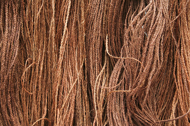 Coconut Husk Rope stock photo