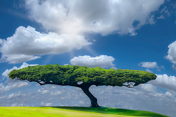 istock Green nature landscape 536135951