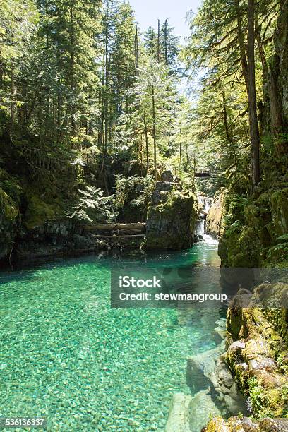 Opal Creek Stock Photo - Download Image Now - Oregon - US State, Opal Creek, Opal Creek Preserve