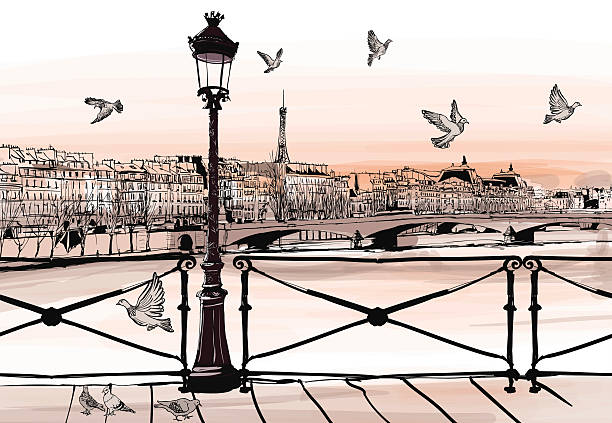 sunset on seine river from pont des arts in paris - 街燈 插圖 幅插畫檔、美工圖案、卡通及圖標
